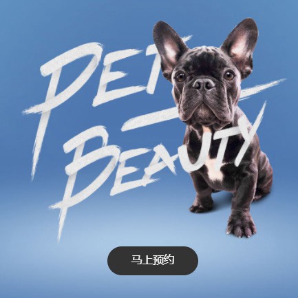 巫溪宠物中心小程序开发